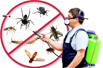 Xử lý côn trùng